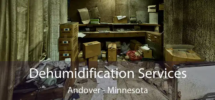 Dehumidification Services Andover - Minnesota