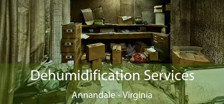 Dehumidification Services Annandale - Virginia