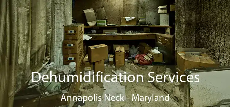 Dehumidification Services Annapolis Neck - Maryland