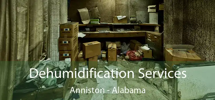 Dehumidification Services Anniston - Alabama