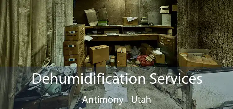 Dehumidification Services Antimony - Utah