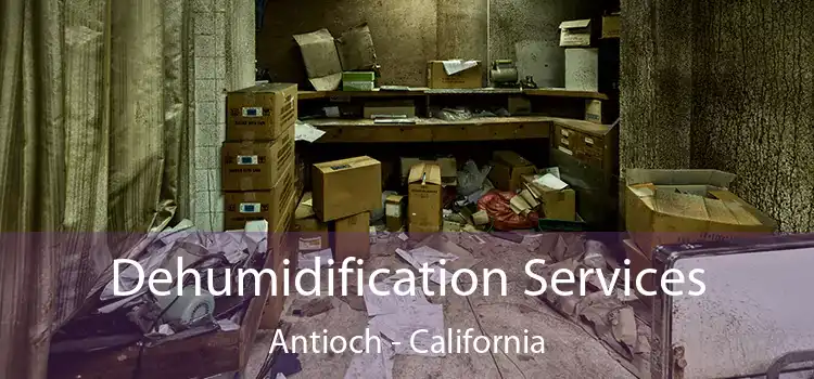 Dehumidification Services Antioch - California