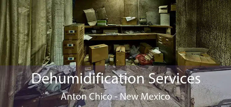 Dehumidification Services Anton Chico - New Mexico