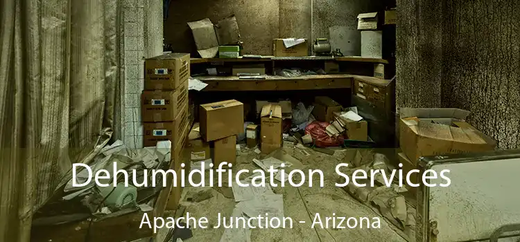 Dehumidification Services Apache Junction - Arizona