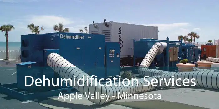 Dehumidification Services Apple Valley - Minnesota