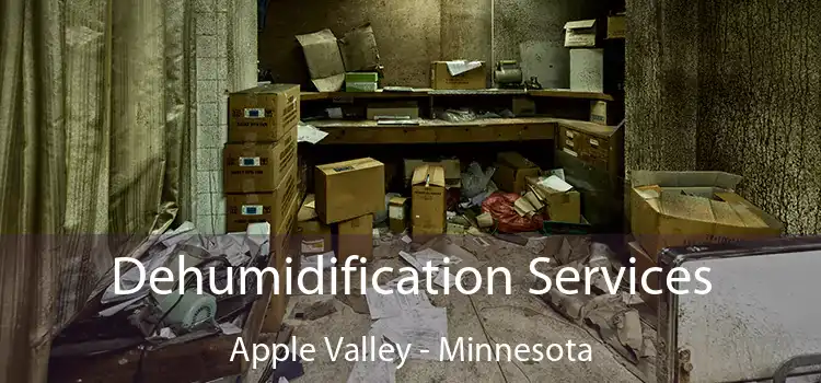 Dehumidification Services Apple Valley - Minnesota