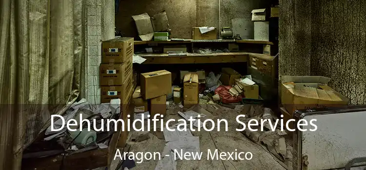 Dehumidification Services Aragon - New Mexico