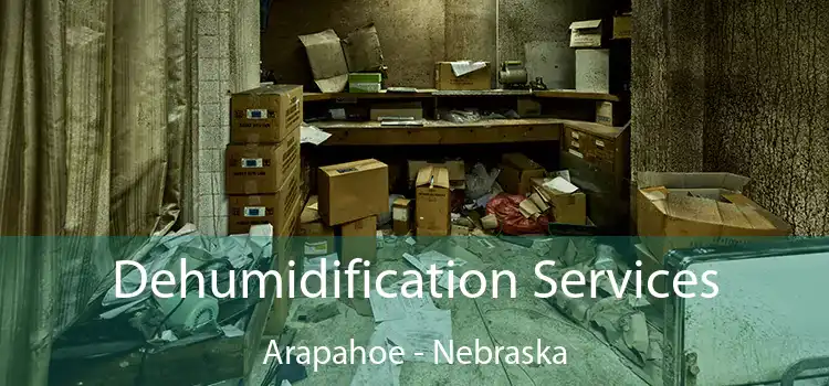 Dehumidification Services Arapahoe - Nebraska