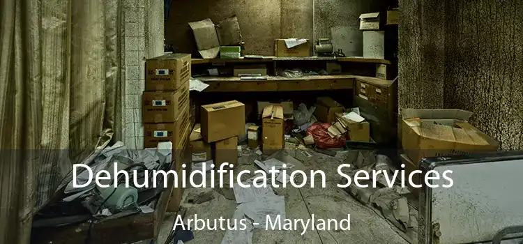 Dehumidification Services Arbutus - Maryland