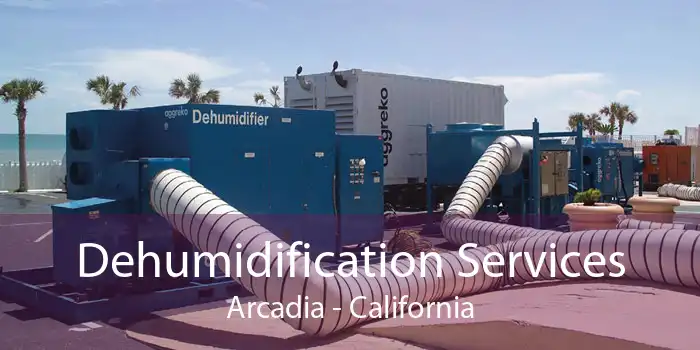 Dehumidification Services Arcadia - California