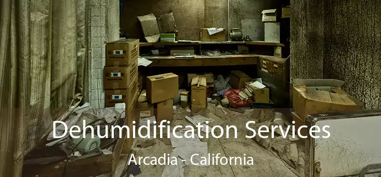 Dehumidification Services Arcadia - California