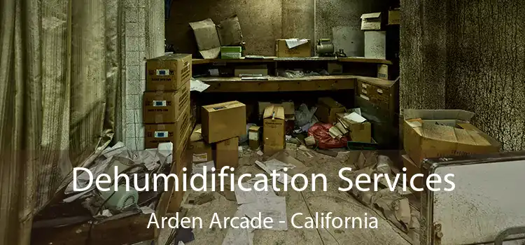 Dehumidification Services Arden Arcade - California