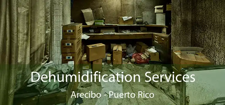 Dehumidification Services Arecibo - Puerto Rico