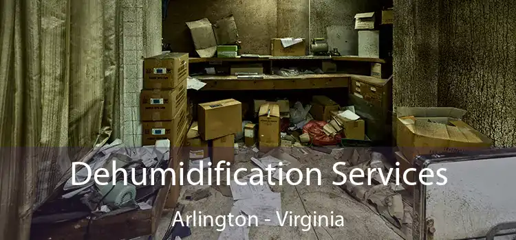 Dehumidification Services Arlington - Virginia