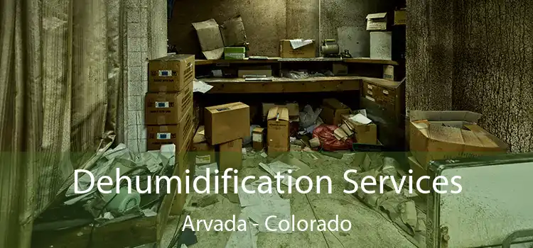 Dehumidification Services Arvada - Colorado