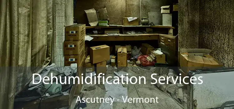 Dehumidification Services Ascutney - Vermont