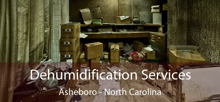 Dehumidification Services Asheboro - North Carolina