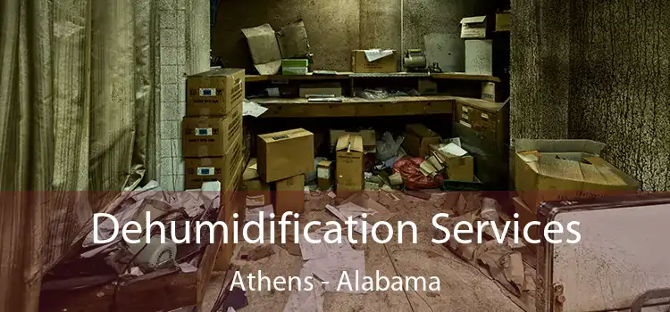 Dehumidification Services Athens - Alabama