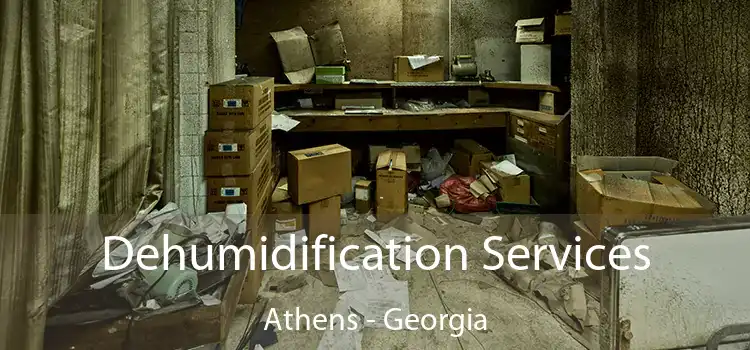 Dehumidification Services Athens - Georgia