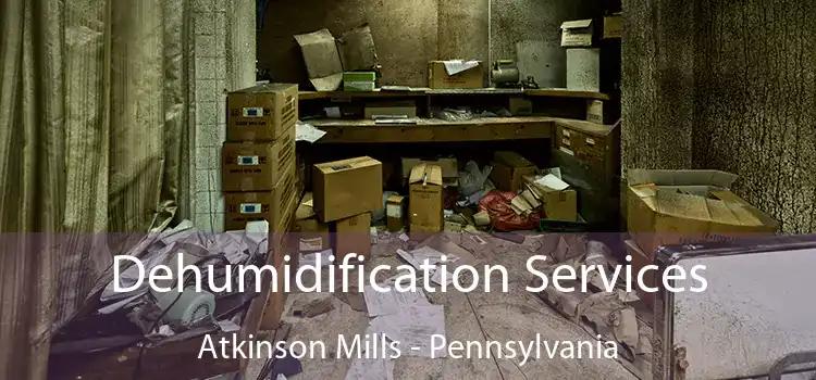 Dehumidification Services Atkinson Mills - Pennsylvania