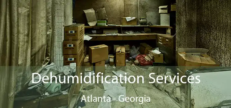 Dehumidification Services Atlanta - Georgia