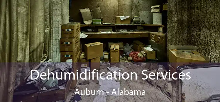 Dehumidification Services Auburn - Alabama