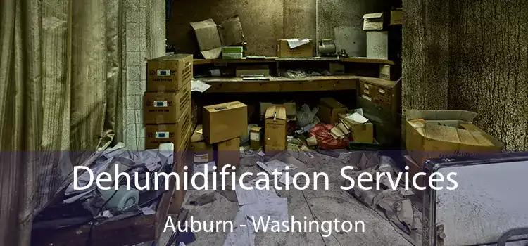 Dehumidification Services Auburn - Washington