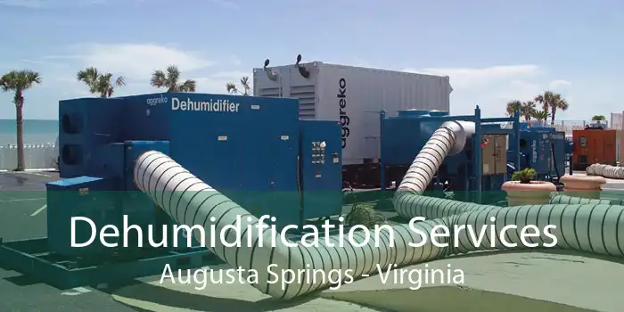 Dehumidification Services Augusta Springs - Virginia