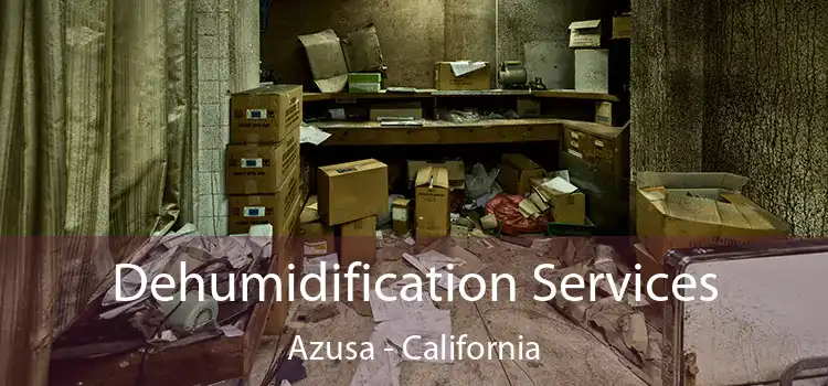 Dehumidification Services Azusa - California