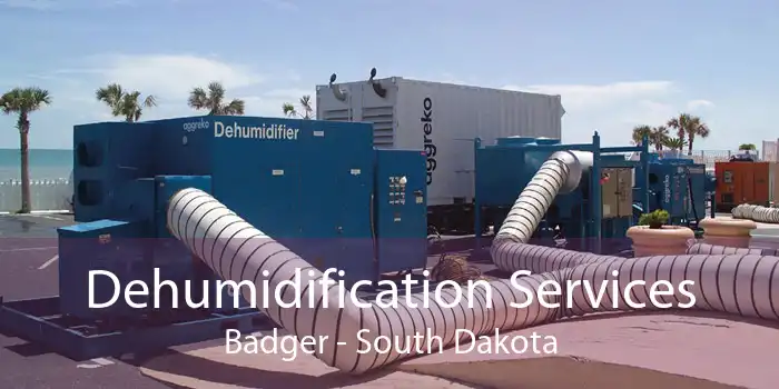 Dehumidification Services Badger - South Dakota
