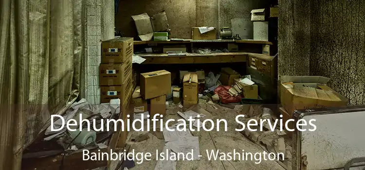 Dehumidification Services Bainbridge Island - Washington