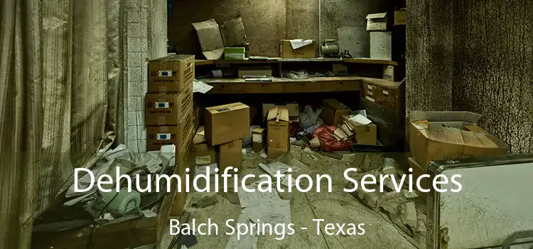 Dehumidification Services Balch Springs - Texas