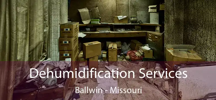 Dehumidification Services Ballwin - Missouri