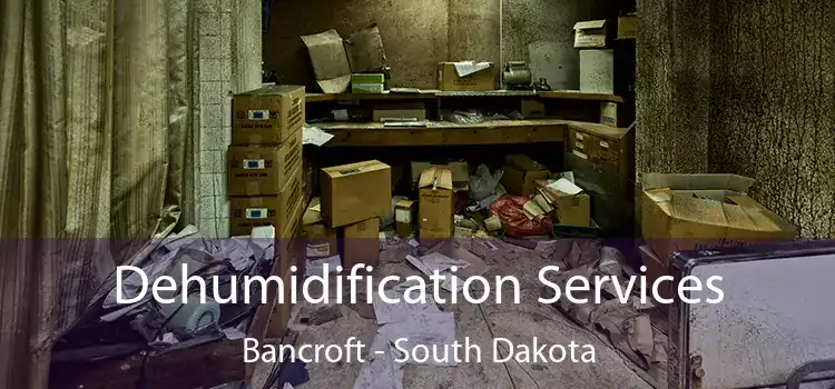 Dehumidification Services Bancroft - South Dakota