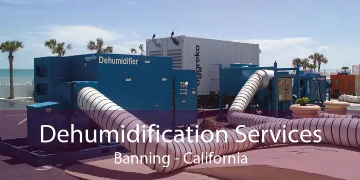Dehumidification Services Banning - California
