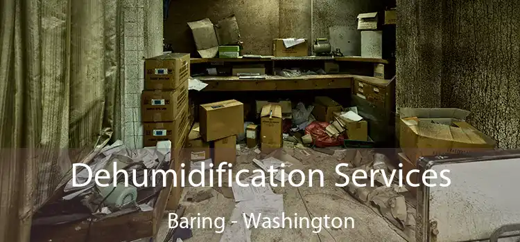 Dehumidification Services Baring - Washington