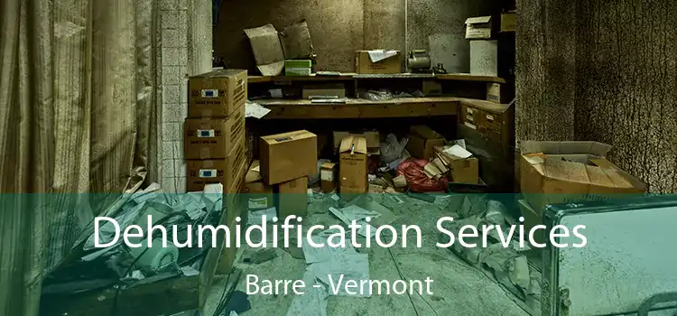 Dehumidification Services Barre - Vermont