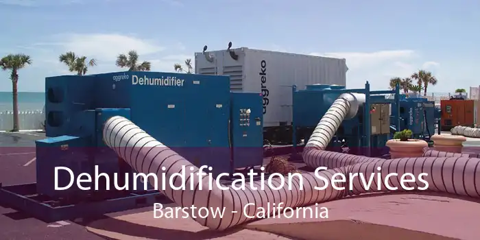Dehumidification Services Barstow - California