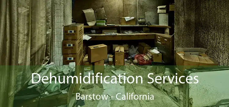 Dehumidification Services Barstow - California