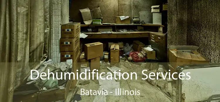 Dehumidification Services Batavia - Illinois