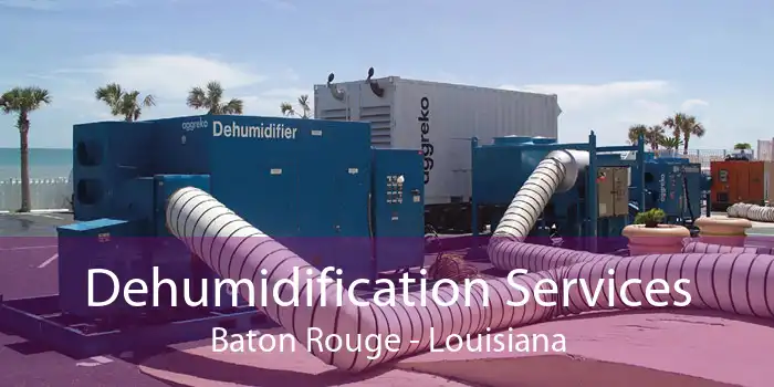 Dehumidification Services Baton Rouge - Louisiana