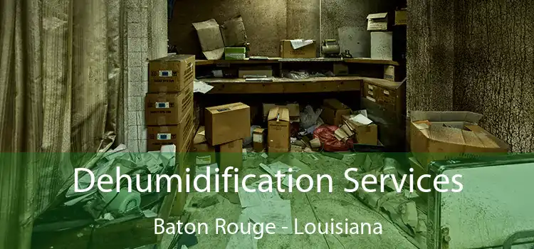 Dehumidification Services Baton Rouge - Louisiana