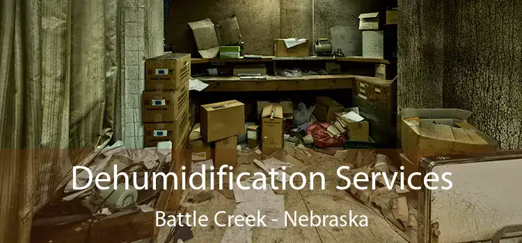 Dehumidification Services Battle Creek - Nebraska