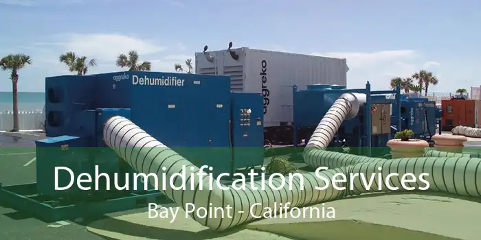 Dehumidification Services Bay Point - California