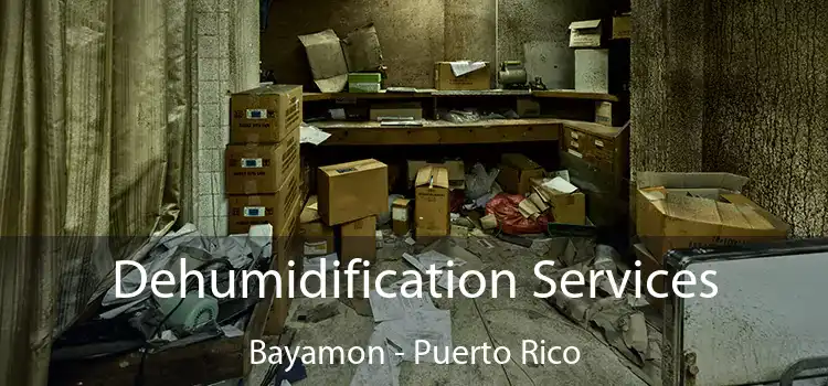 Dehumidification Services Bayamon - Puerto Rico