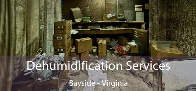 Dehumidification Services Bayside - Virginia