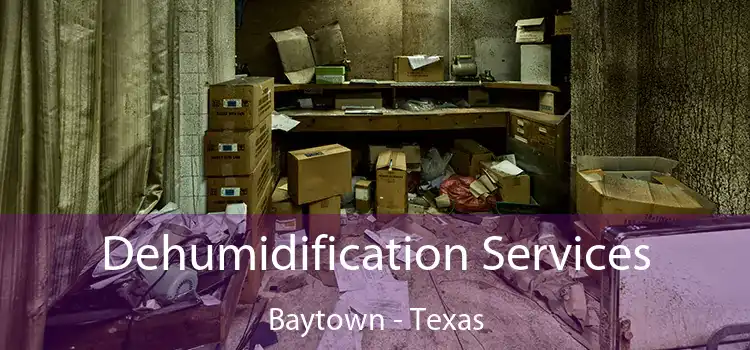 Dehumidification Services Baytown - Texas