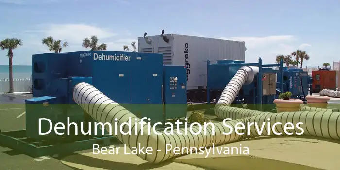 Dehumidification Services Bear Lake - Pennsylvania
