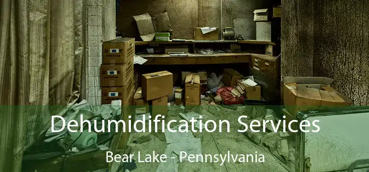 Dehumidification Services Bear Lake - Pennsylvania