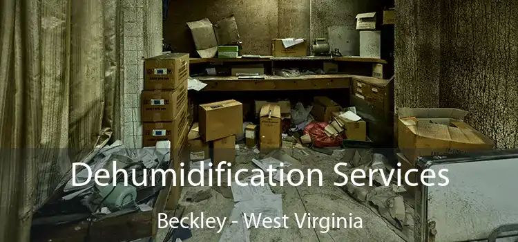 Dehumidification Services Beckley - West Virginia